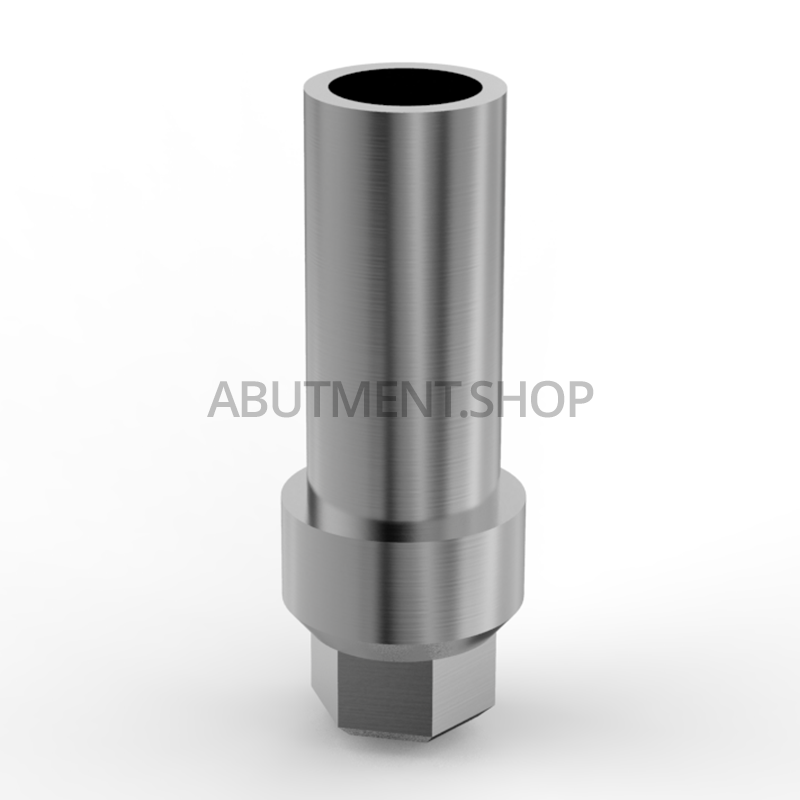 Slim Body Straight Titanium Shoulder Abutment for Dental Implant Internal Hex RP