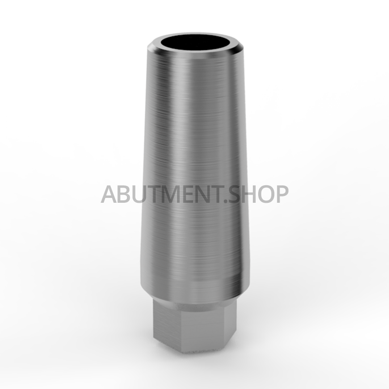 Slim Body Straight Titanium Abutment for Dental Implant Internal Hex RP