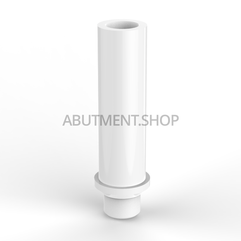 Rotational Plastic Castable Abutment Internal Hex RP