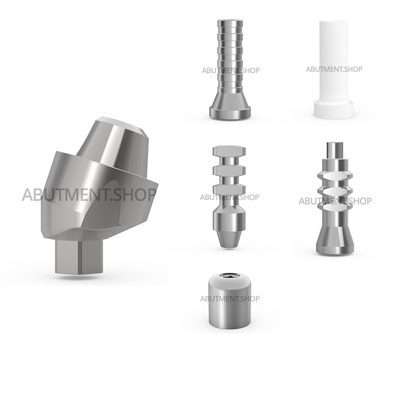 17° Angled Multi Unit Titanium Abutment Full Set for Dental Implant Internal Hex RP