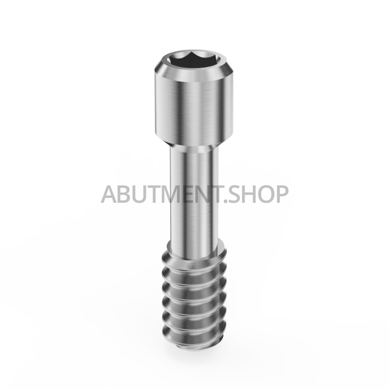 Prosthetic Screw for Abutment Internal Hex NP