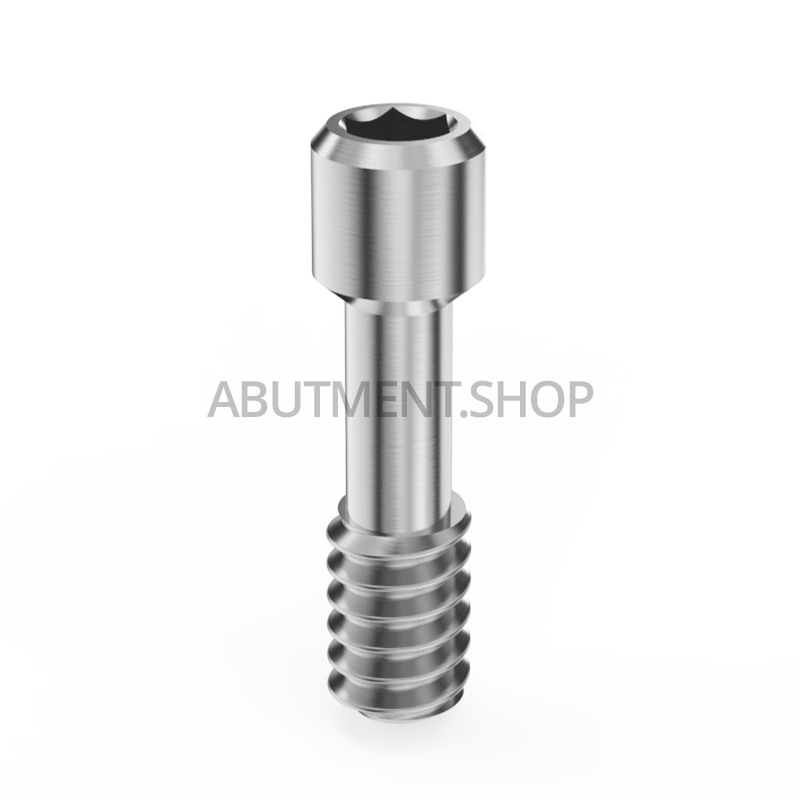 Prosthetic Screw for Abutment Internal Hex RP