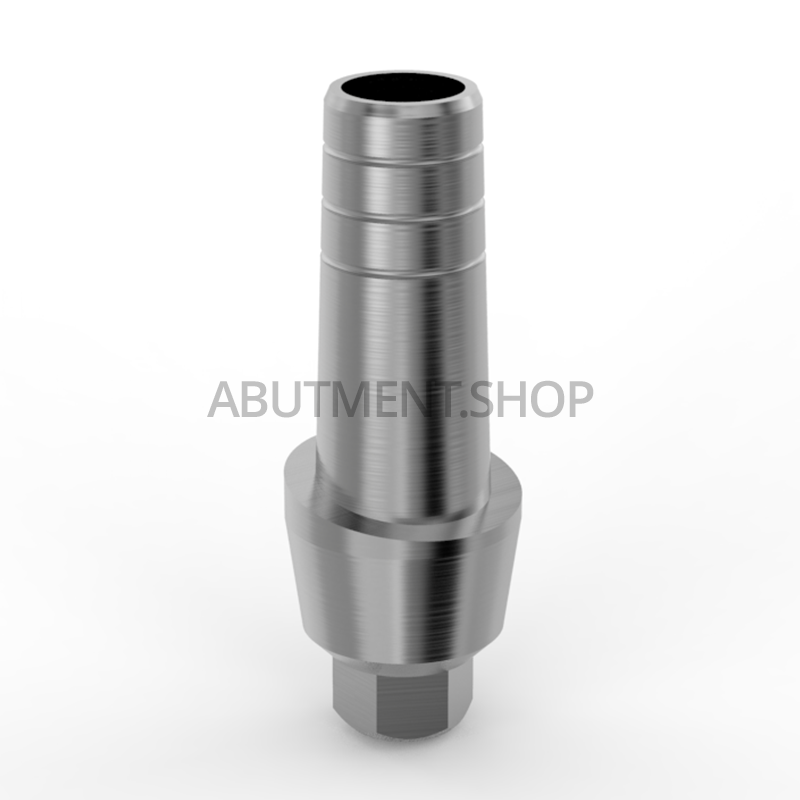 Straight Anatomic Titanium Abutment for Dental Implant Internal Hex RP