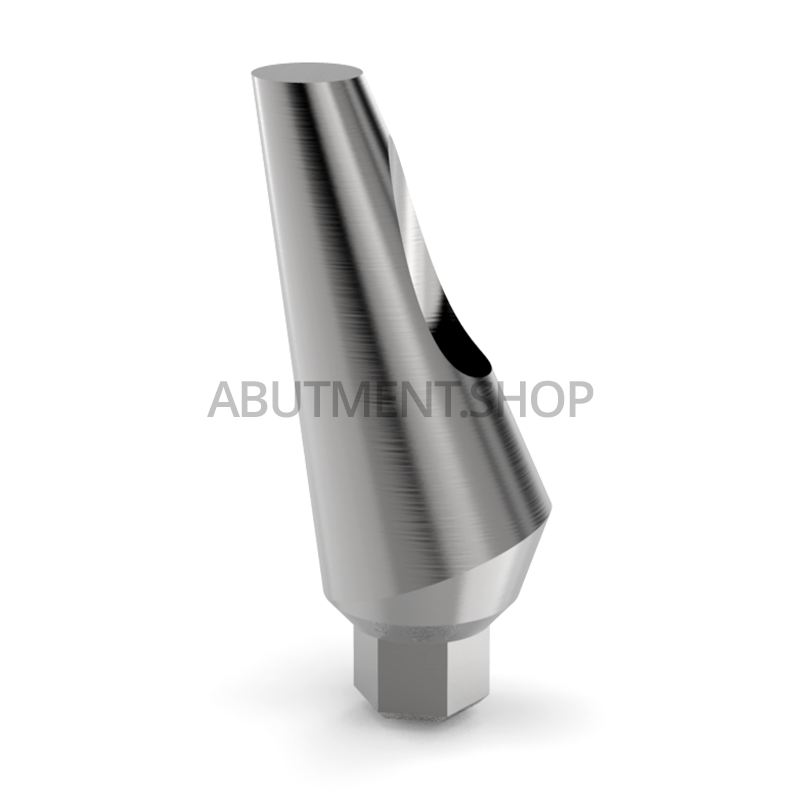 15° Angled Titanium Abutment for Dental Implant Internal Hex NP