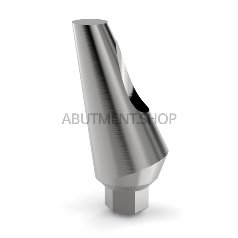 15° Angled Titanium Abutment for Dental Implant Internal Hex RP