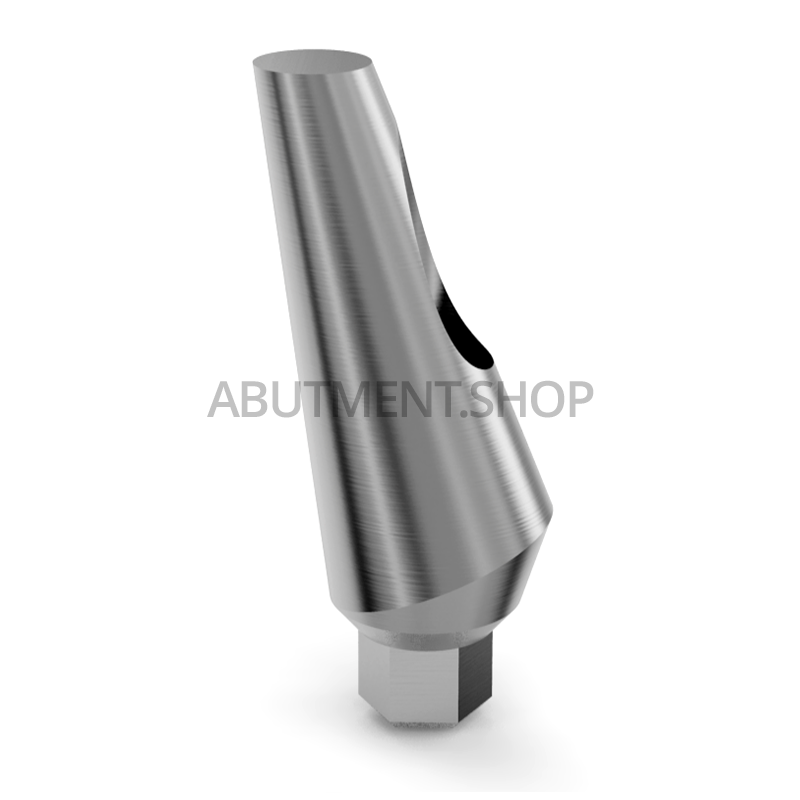 25° Angled Titanium Abutment for Dental Implant Internal Hex NP