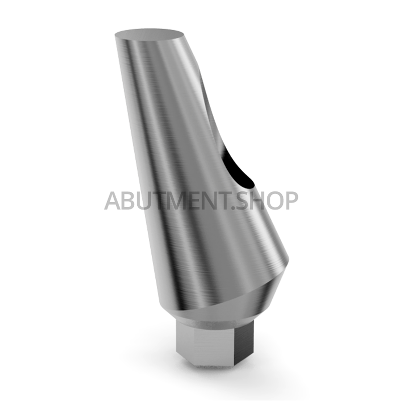 25° Angled Titanium Abutment for Dental Implant Internal Hex RP