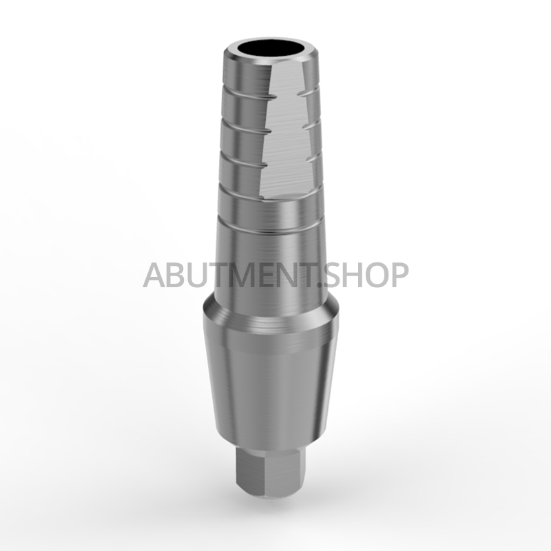 Straight Titanium Shoulder Abutment for Narrow Dental Implant Internal Hex NP