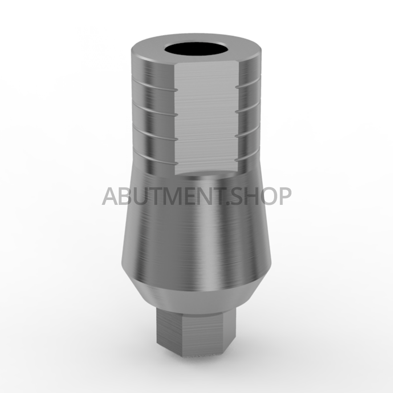 Wide Body Straight Titanium Abutment for Dental Implant Internal Hex RP