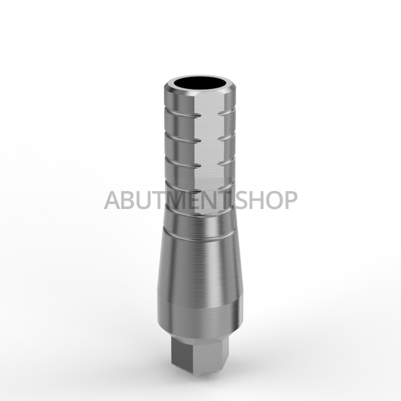 Straight Titanium Abutment for Dental Implant Internal Hex NP